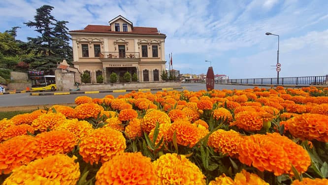 Büyükşehir Trabzon'u çiçeklerle donatıyor