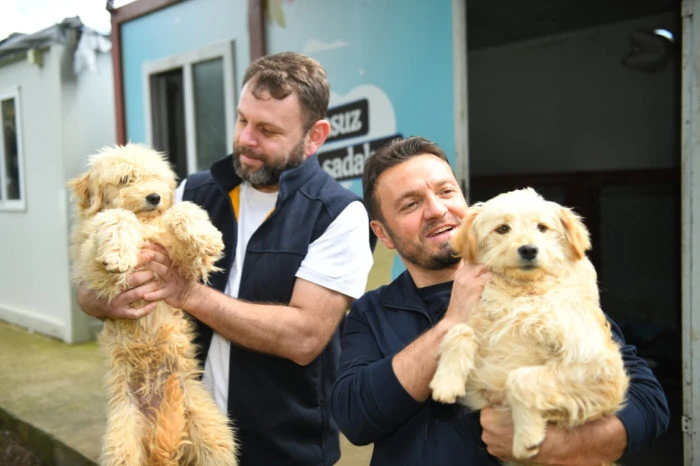 Ortahisar Belediyesi&rsquo;nden sokak hayvanları i&ccedil;in sahiplendirme &ccedil;ağrısı