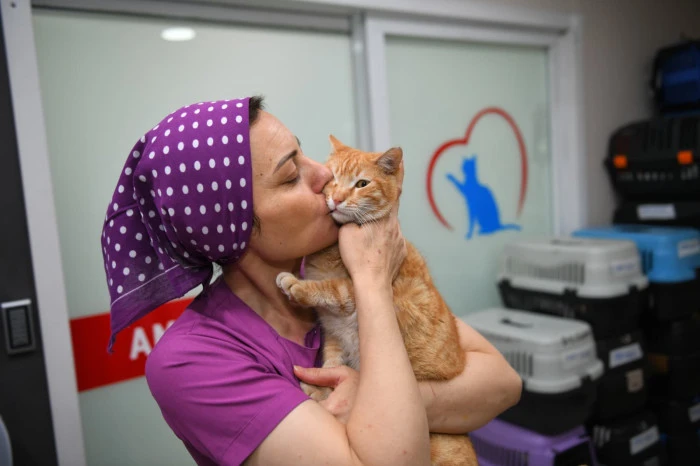 Ortahisar Belediyesi&rsquo;nden sokak hayvanları i&ccedil;in sahiplendirme &ccedil;ağrısı