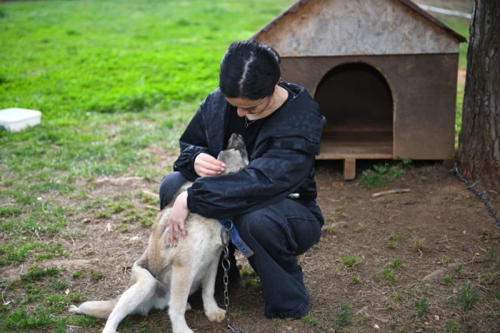 Ortahisar Belediyesi&rsquo;nden sokak hayvanları i&ccedil;in sahiplendirme &ccedil;ağrısı