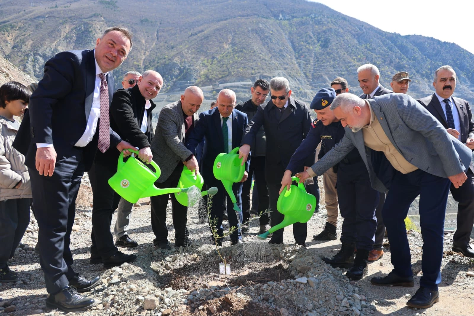 Artvin&rsquo;de Butko zeytini &uuml;retimi yaygınlaşıyor