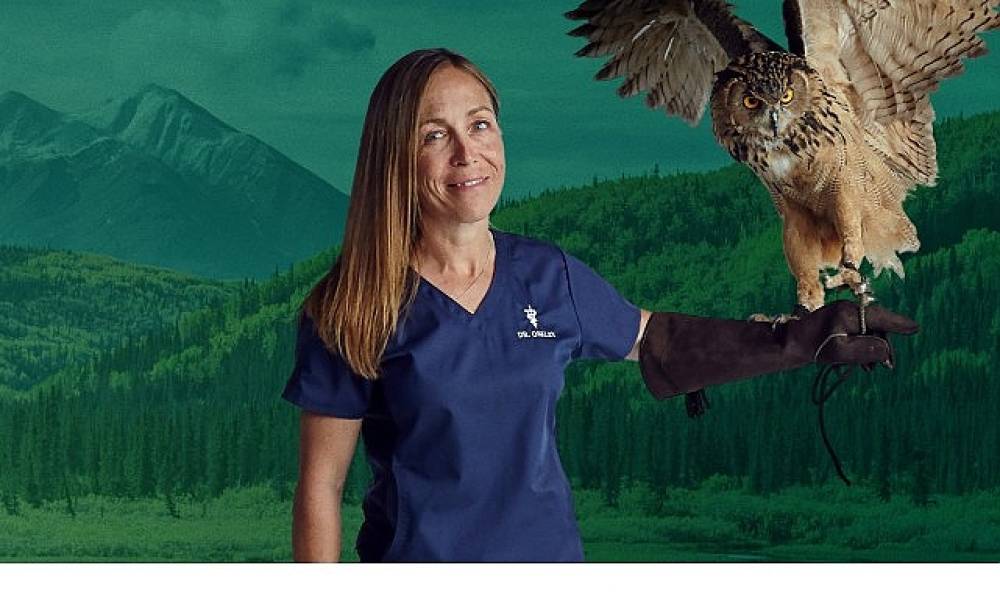 6 B&ouml;l&uuml;mden Oluşan 'Yukon Veterineri &Ouml;zel',   5. Sezonu İle 4-11-18 Şubat &Ccedil;arşamba Saat 20.00'de İki  B&ouml;l&uuml;m Art Arda National Geographic WILD Ekranlarında!