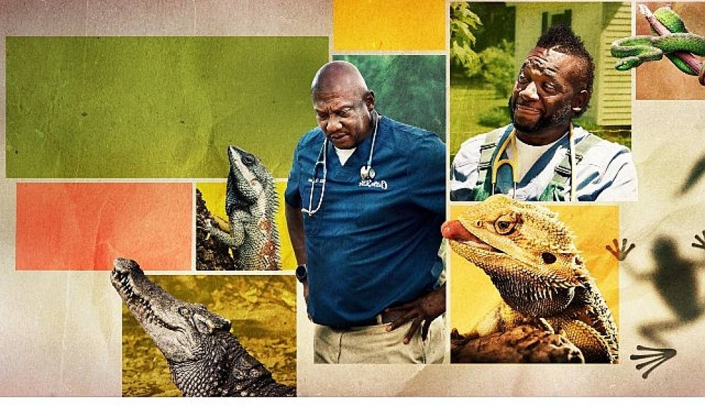 12 B&ouml;l&uuml;mden Oluşan 'Veteriner Dostlar'ın 5. Sezonu,   9 Şubat Pazartesi Saat 20.00'de   National Geographic WILD Ekranlarında Başlıyor!