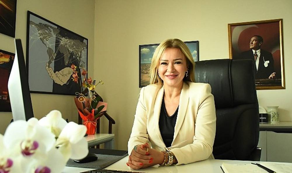 Türkiye Kadına Yönelik Şiddet Araştırması, 2024