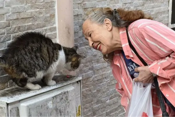 Sokak hayvanlarının &ldquo;Panter Emel&rdquo;i hayatını kaybetti