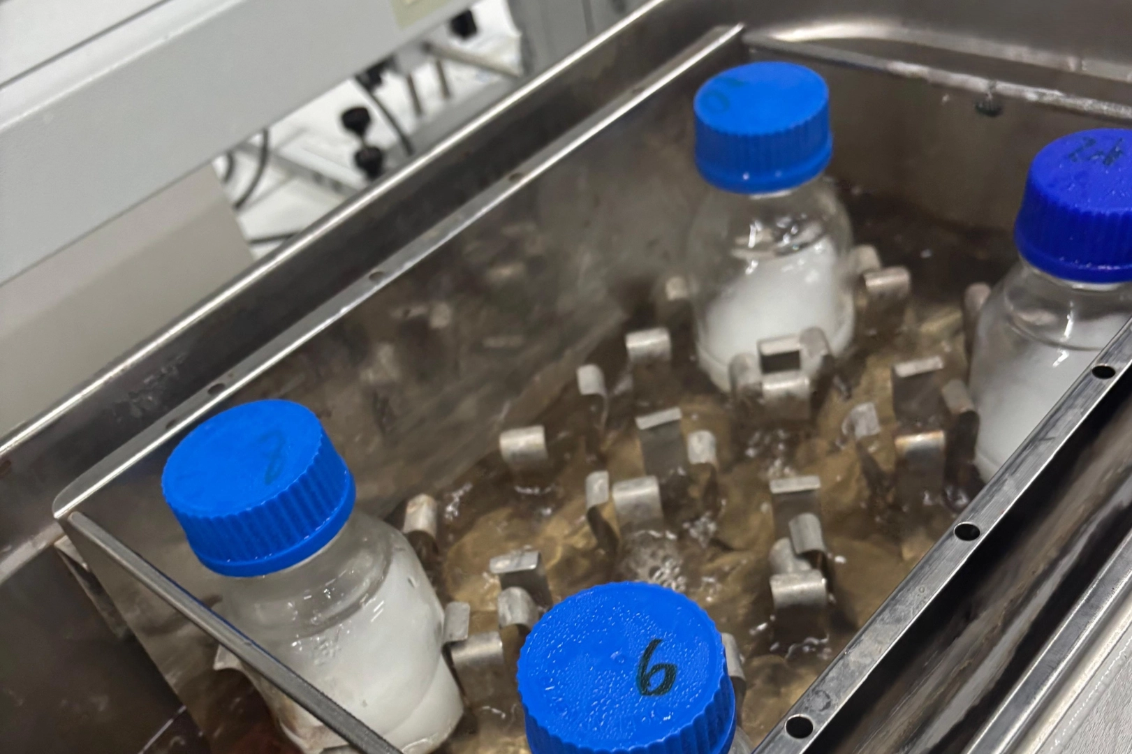 BT&Uuml;&rsquo;l&uuml; &ouml;ğrenciler atık nişastadan ambalaj film &uuml;retti