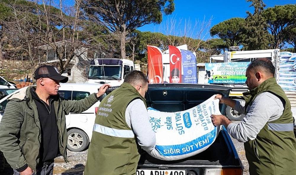 Aydın B&uuml;y&uuml;kşehir Belediyesi'nin K&uuml;&ccedil;&uuml;k &Uuml;reticilere Yem Destekleri Devam Ediyor