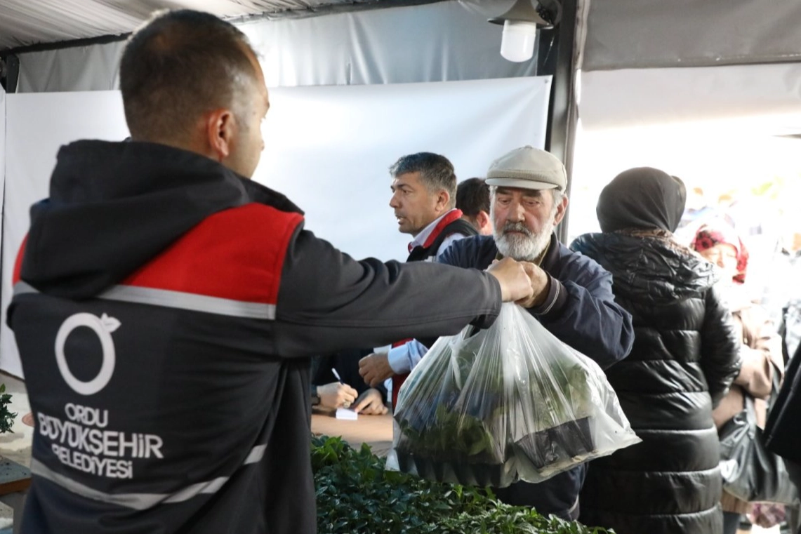 Ordu&rsquo;da 300 bin yazlık sebze fidesi dağıtımı başladı