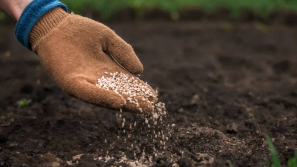 İletişim Başkanlığı&rsquo;ndan &lsquo;H&uuml;rm&uuml;z Boğazı&rsquo; iddialarına a&ccedil;ıklama: &lsquo;T&uuml;rkiye&rsquo;de g&uuml;bre krizi yok&rsquo; 