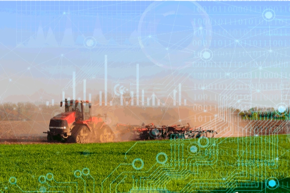 T&Uuml;İK 2025 bitkisel &uuml;retim verilerini a&ccedil;ıkladı... &Uuml;retimde genel d&uuml;ş&uuml;ş yaşandı