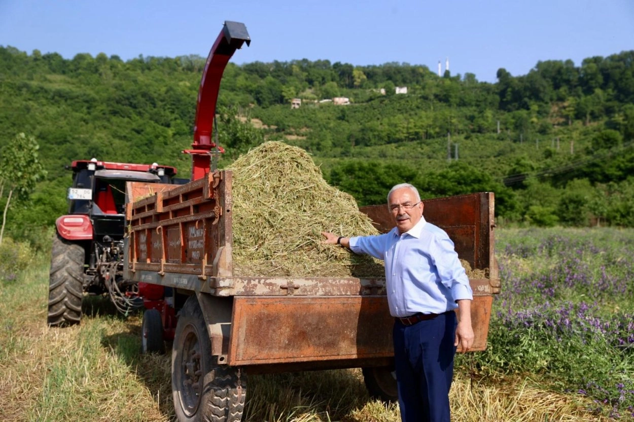 Ordu&rsquo;da atıl arazi tarıma kazandırıldı