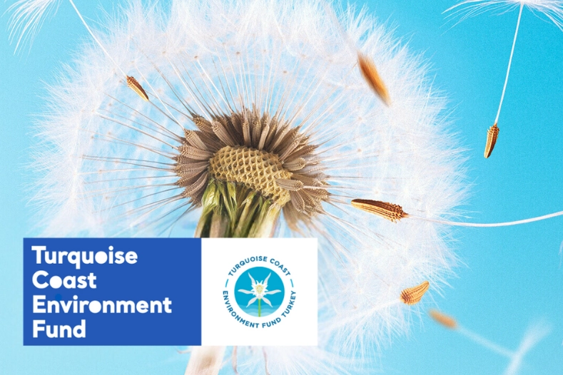 TCEF 2026 Hibe Programı'nda T&uuml;rkiye'nin g&uuml;ney ve batı kıyılarına destek... Son başvuru 25 Ocak