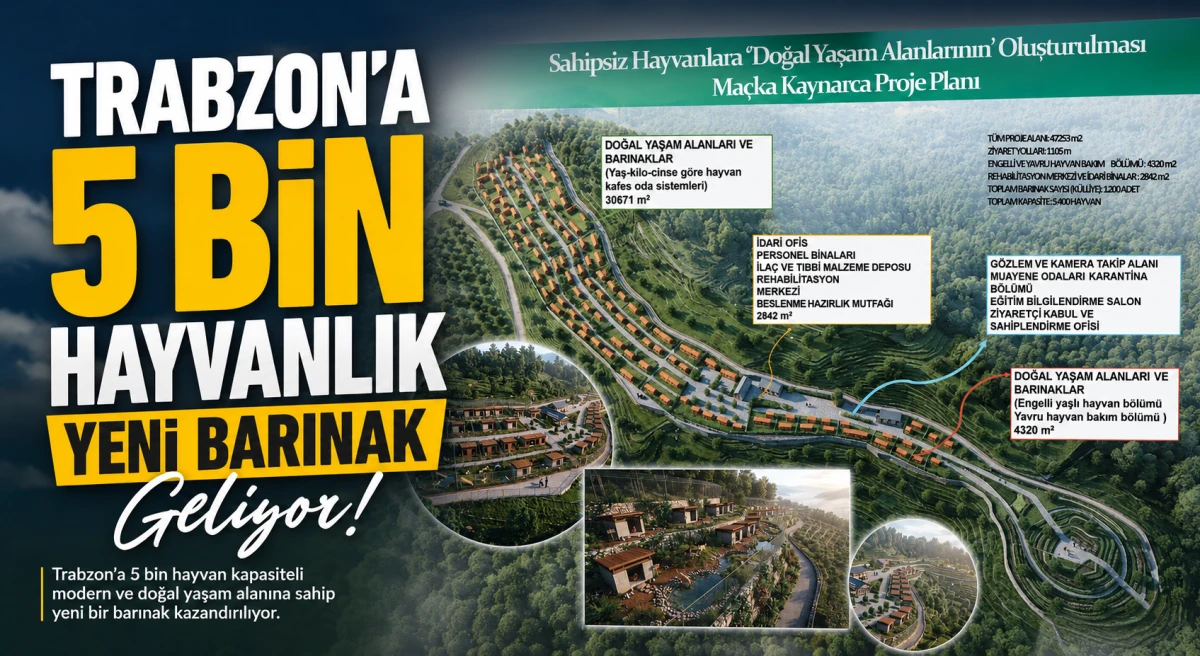 5 Bin Hayvan Kapasiteli Barınak Trabzon&rsquo;da Kuruluyor
