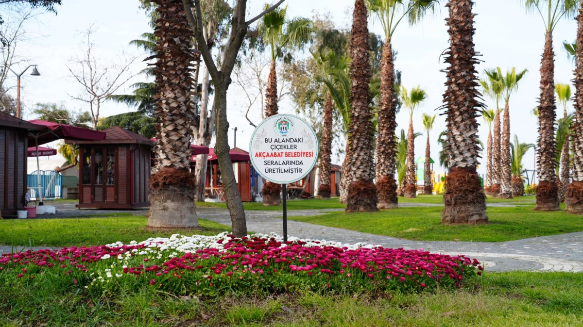 Ak&ccedil;aabat Belediyesi &Ccedil;i&ccedil;eklerini Kendi Seralarında Yetiştirerek Şehri Renklendiriyor