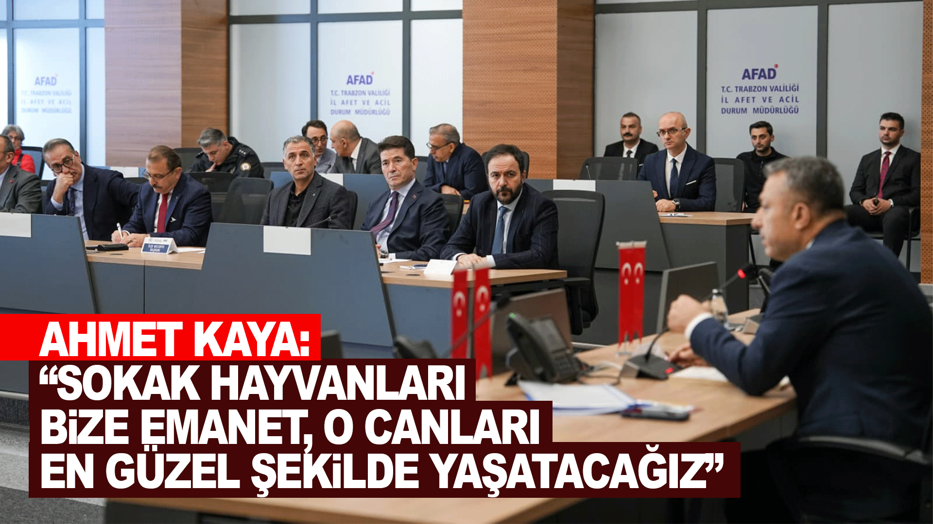 Başkan Kaya: Sokak hayvanları i&ccedil;in doğal yaşam alanı tamamlanıyor