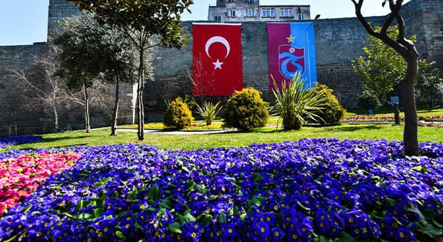 Büyükşehir, Trabzon'u çiçeklerle donatıyor