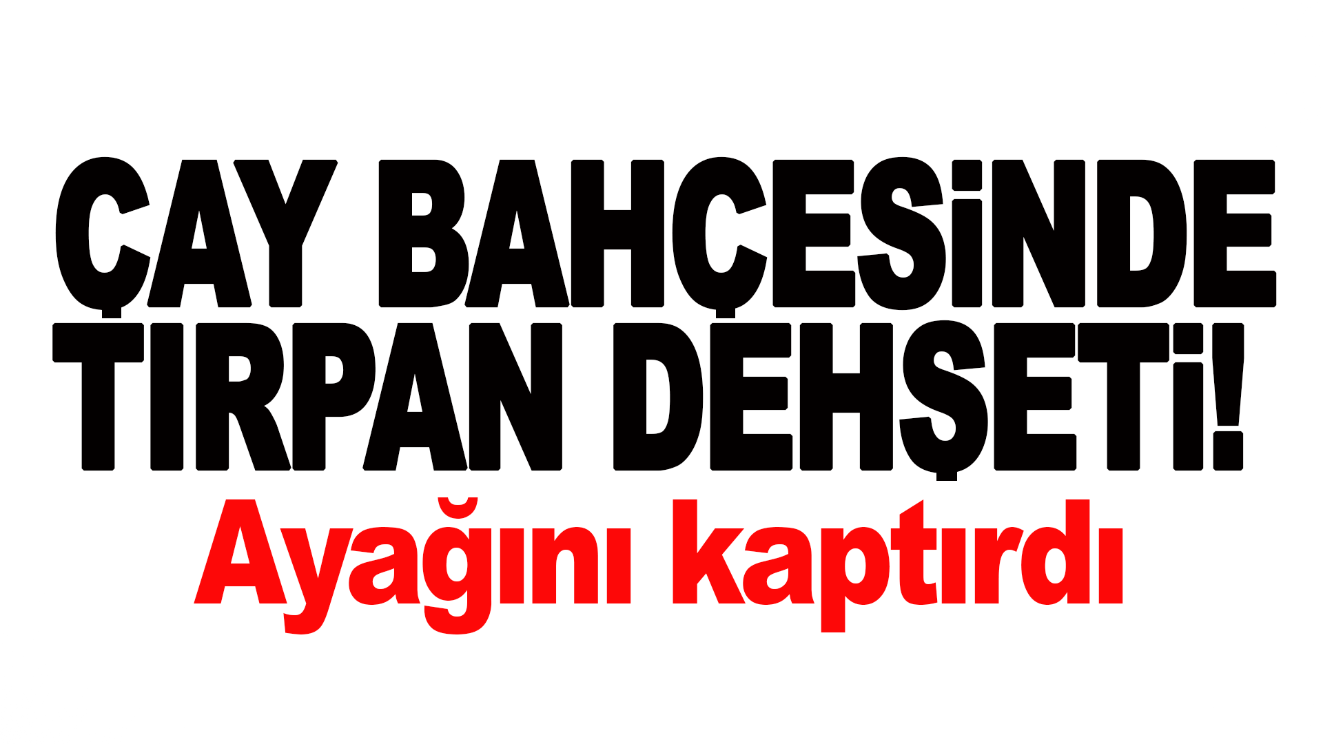 &Ccedil;ay Bah&ccedil;esinde Tırpan Dehşeti!