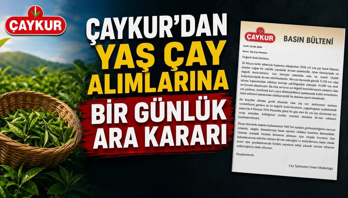 ÇAYKUR yaş çay alımına yeniden ara veriyor.