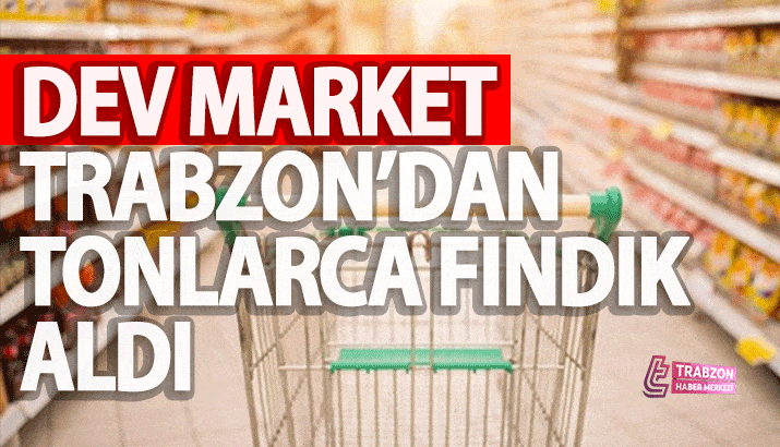 Dev market zinciri Trabzon'dan tonlarca organik fındık aldı
