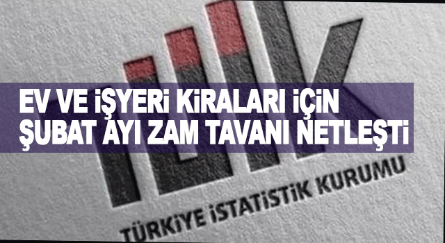 Ev ve İşyeri Kiraları İ&ccedil;in Şubat Ayı Zam Tavanı Netleşti 