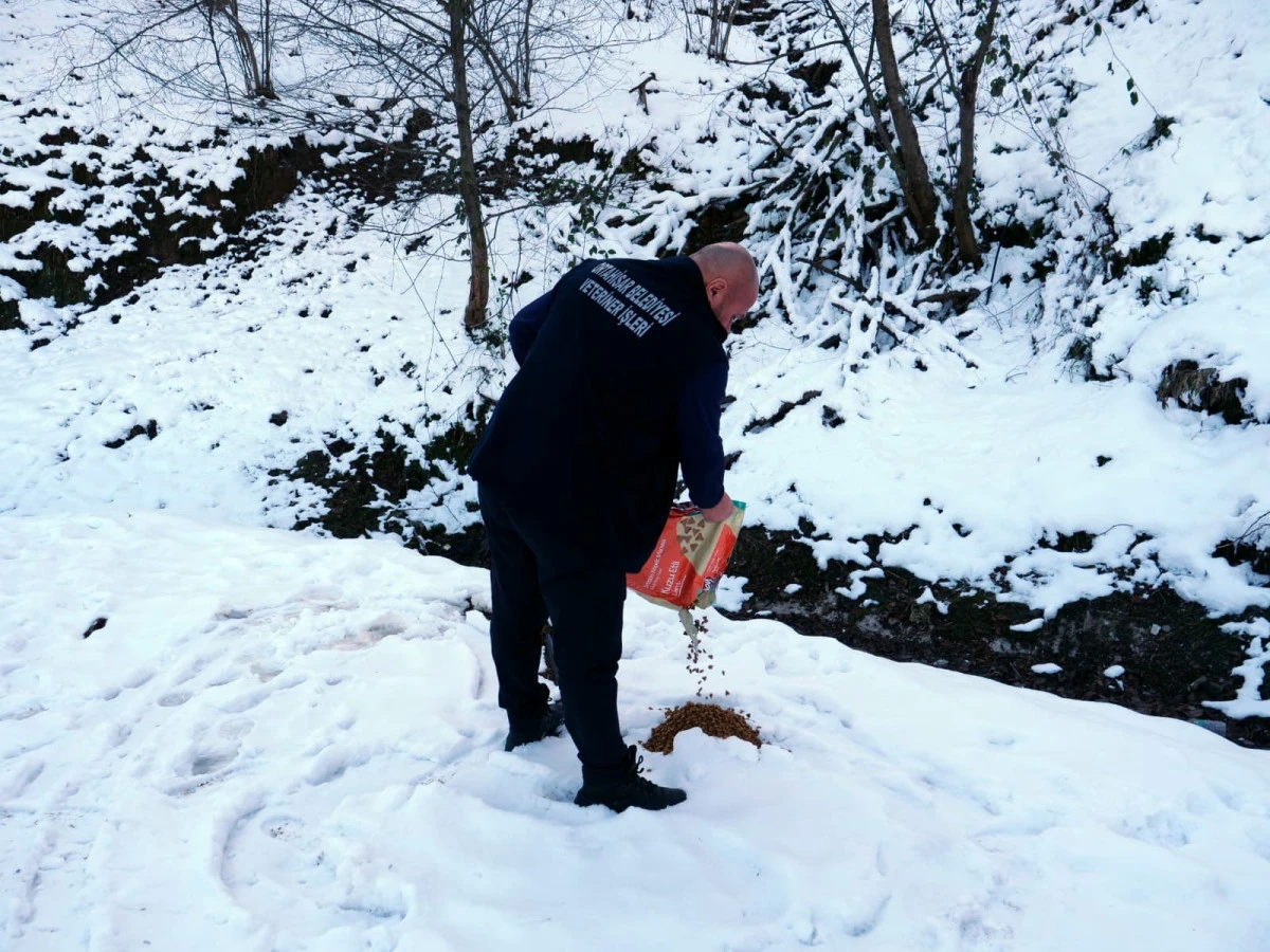 Ortahisar Belediyesi, zorlu kış şartlarında sokak hayvanlarına umut oldu