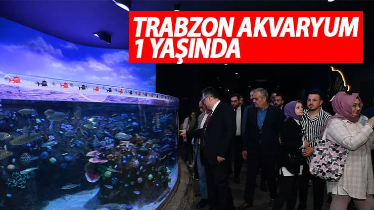 Trabzon Akvaryum 1 yaşında