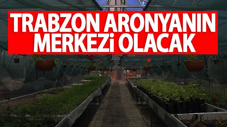Trabzon Aronyanın merkezi olacak!