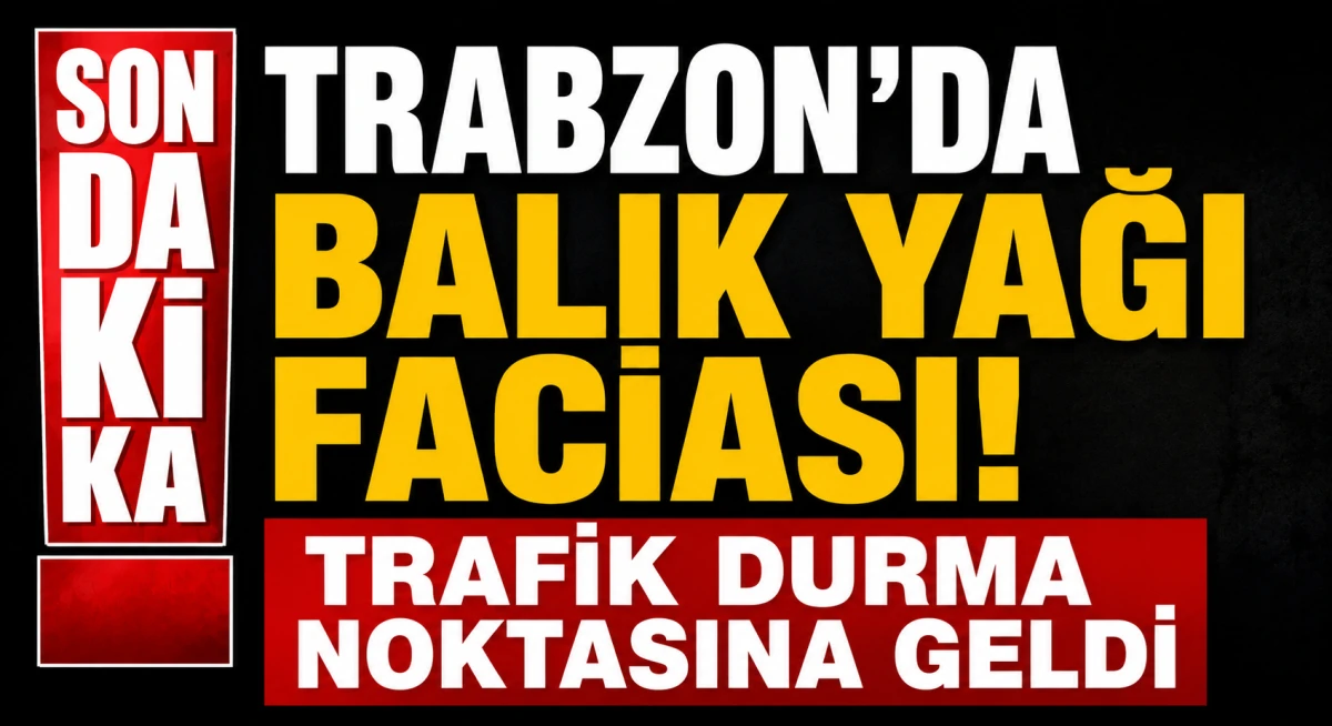 Trabzon'da Balık Yağı Faciası! Yola Sa&ccedil;ılan Yağ Trafiği Kilitledi, Peş Peşe Kazalar Yaşandı