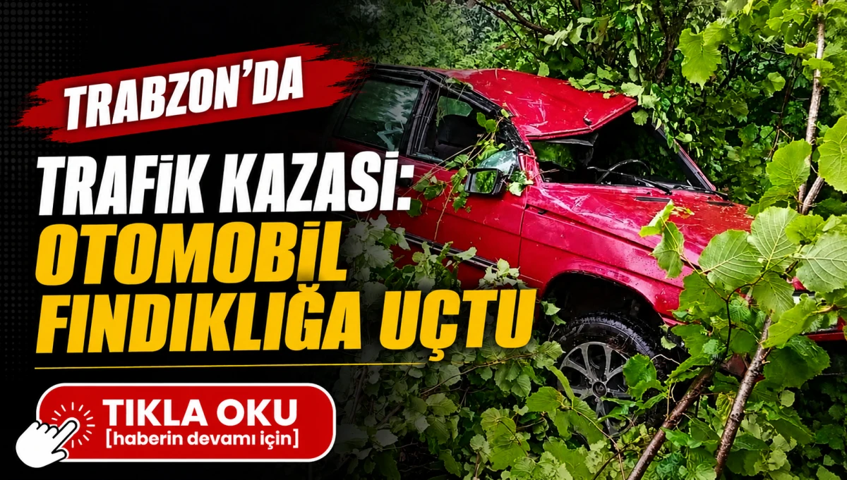 Trabzon'da kontrolden &ccedil;ıkan otomobil fındıklığa savruldu