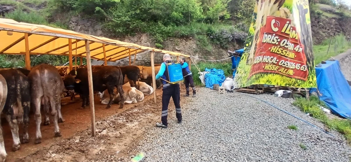 Trabzon&rsquo;da kurban alanlarında yoğun hijyen mesaisi
