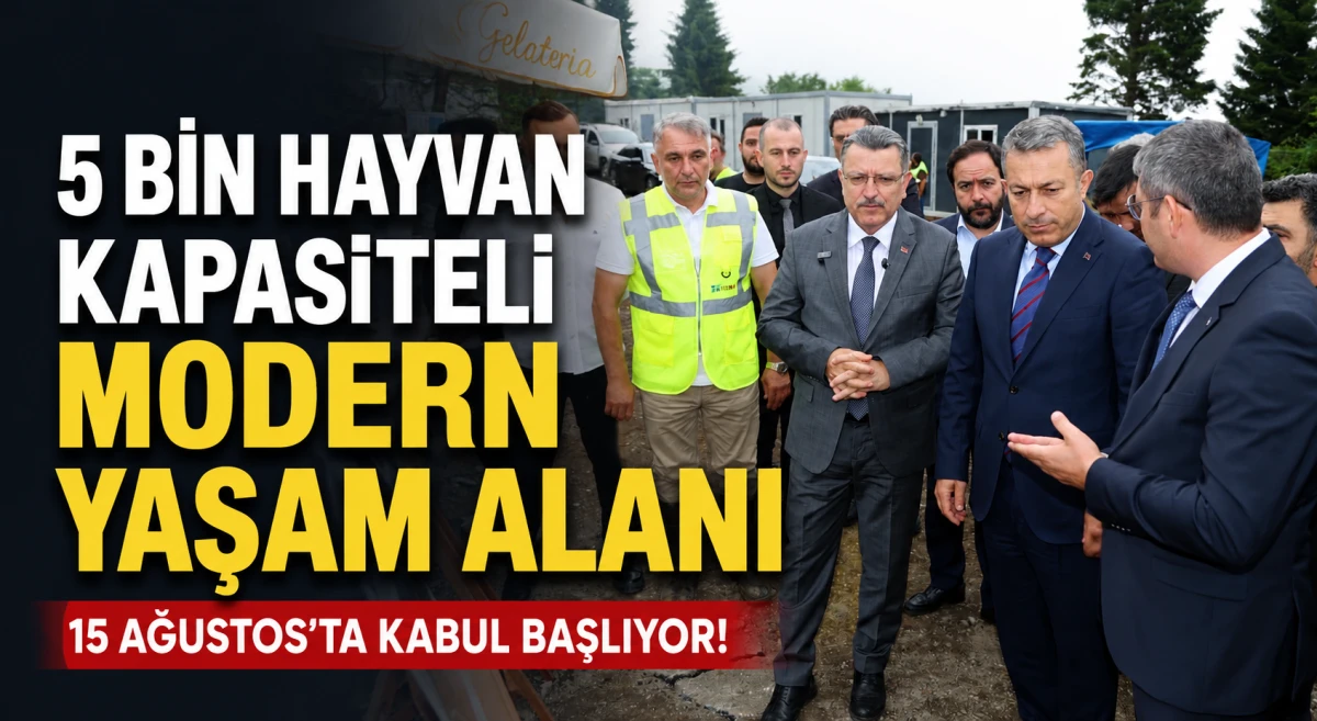 Trabzon'da Sokak Hayvanları Yaşam Merkezi Hızla Y&uuml;kseliyor